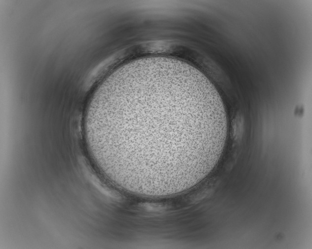 X0000110730733200907022109