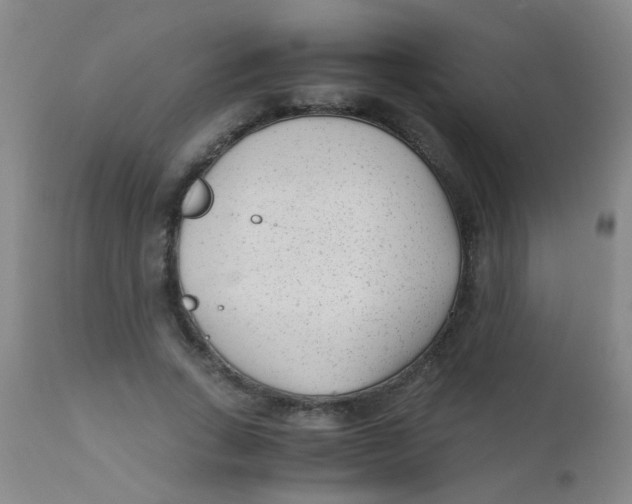 X0000110730735200907022109