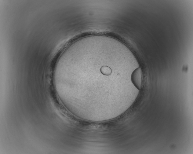 X0000110730736200907022109