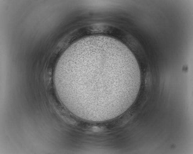 X0000110730737200907022109