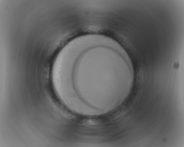 X0000110730739200907022109