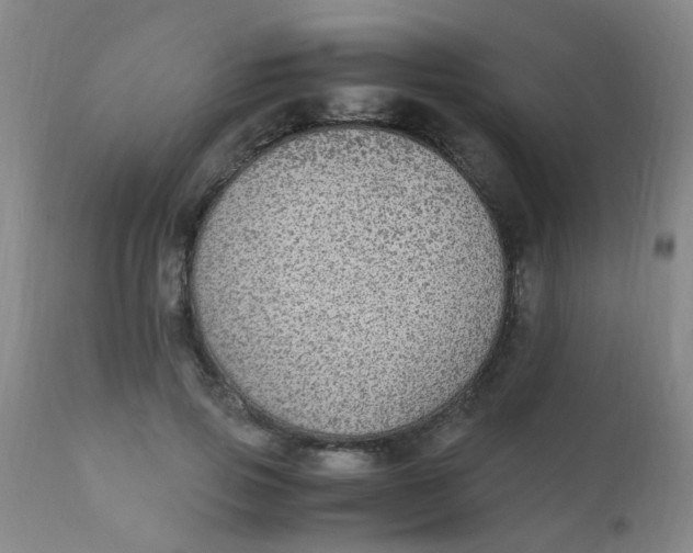 X0000110730741200907022109