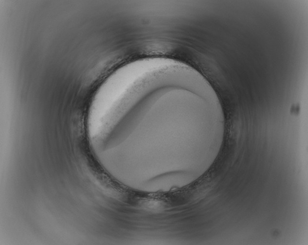 X0000110730743200907022109