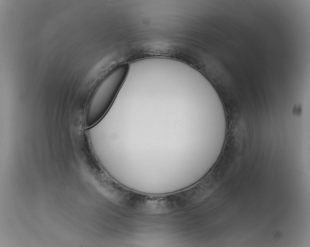 X0000110730744200907022109