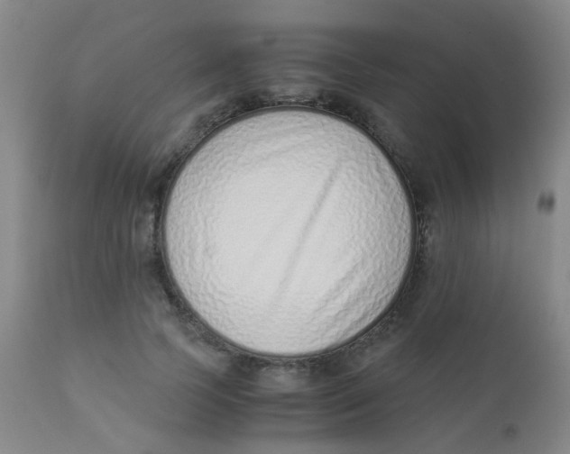 X0000110730745200907022109