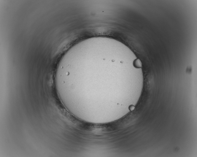 X0000110730746200907022110