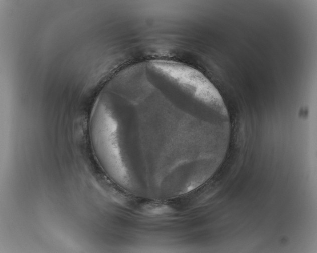 X0000110730747200907022110