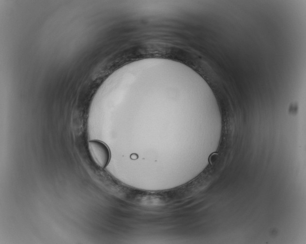 X0000110730751200907022110