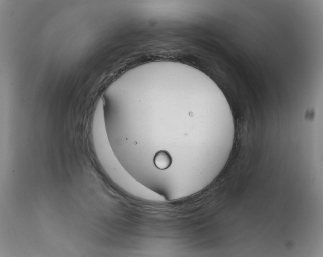 X0000110730752200907022110