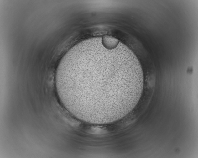 X0000110730753200907022110