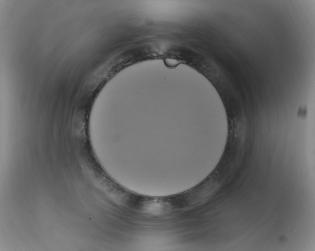 X0000110730754200907022110