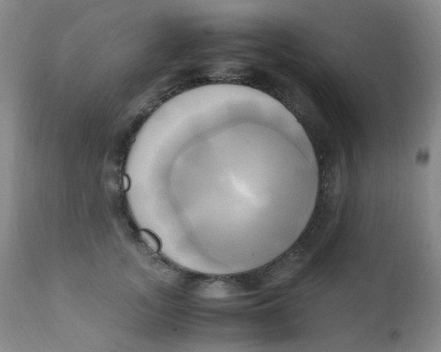 X0000110730755200907022110