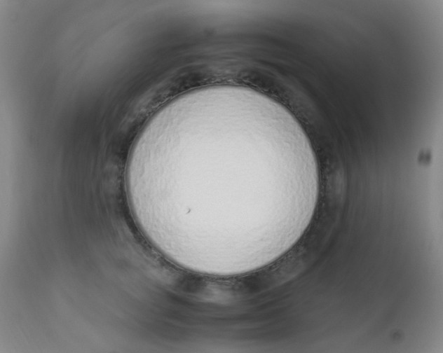 X0000110730757200907022110