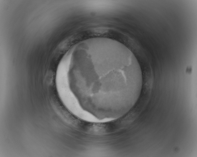 X0000110730758200907022110