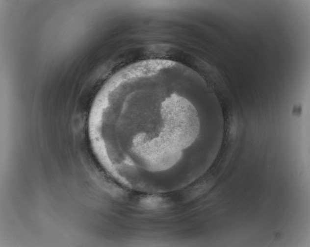 X0000110730759200907022110