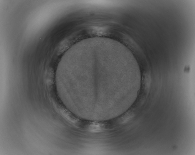 X0000110730760200907022110