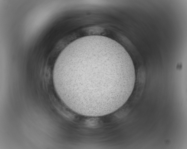 X0000110730761200907022110