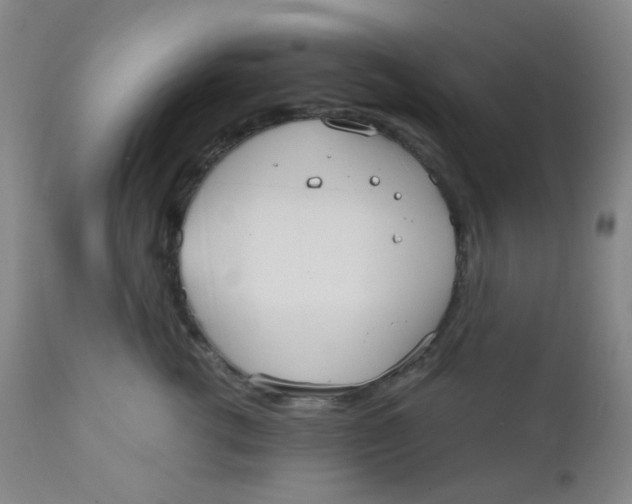 X0000110730762200907022110