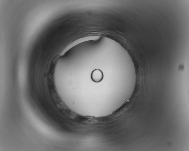 X0000110730764200907022110