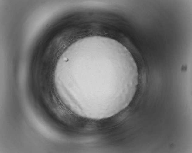 X0000110730765200907022110