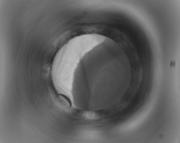 X0000110730767200907022110