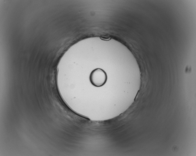 X0000110730768200907022110