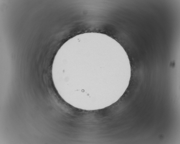 X0000110730769200907022109