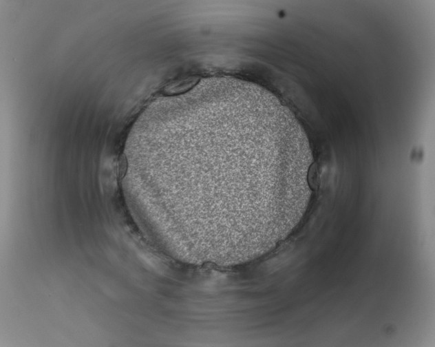 X0000110730772200907022109