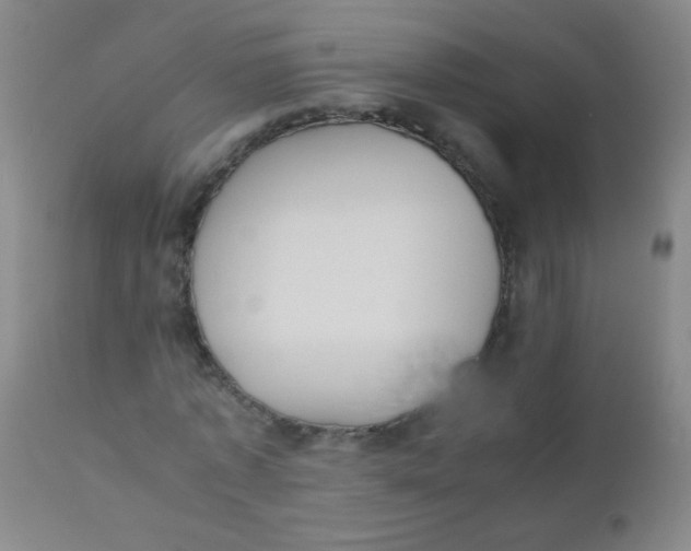 X0000110730773200907022109