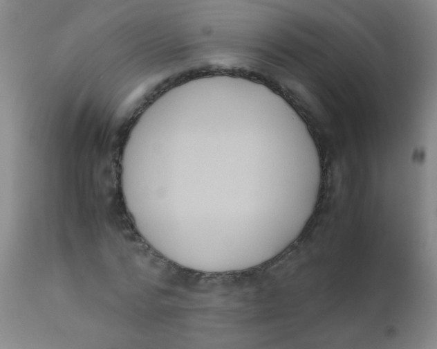 X0000110730776200907022109