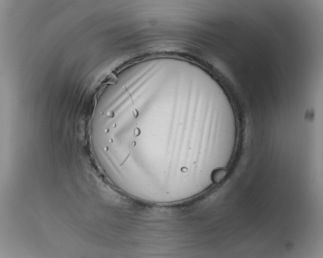 X0000110730777200907022109