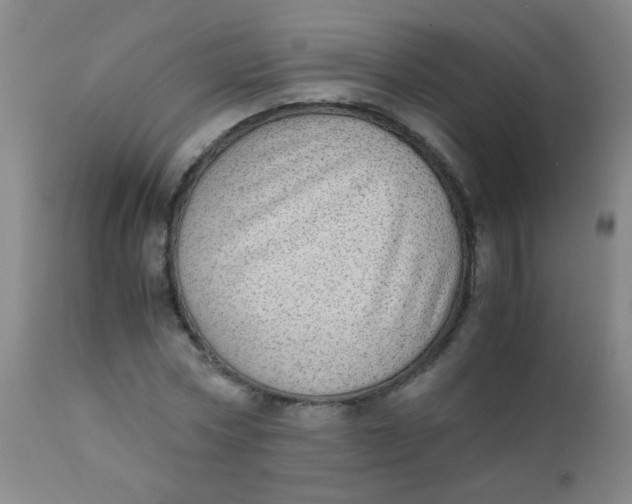 X0000110730778200907022109