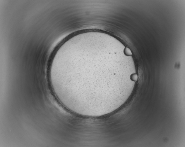 X0000110730780200907022109