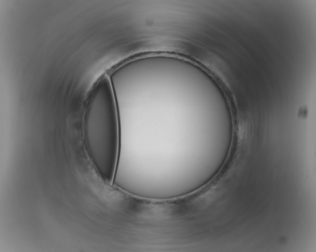 X0000110730781200907022109