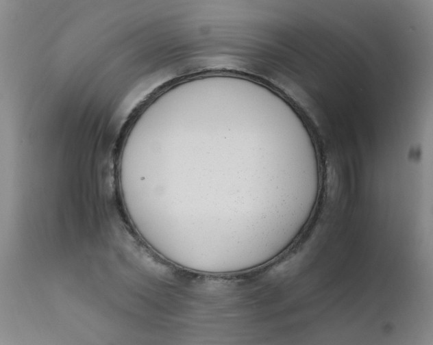 X0000110730782200907022109