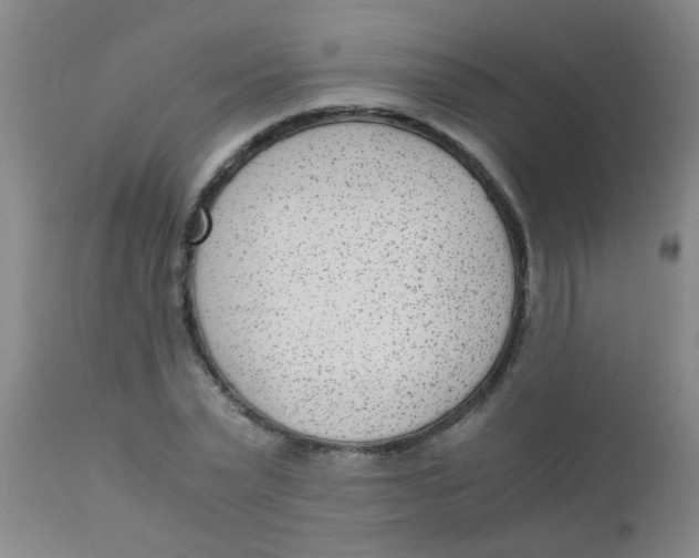 X0000110730783200907022109