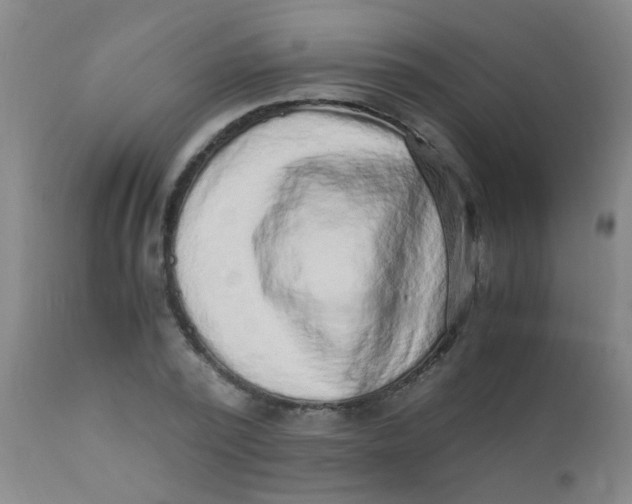 X0000110730784200907022109