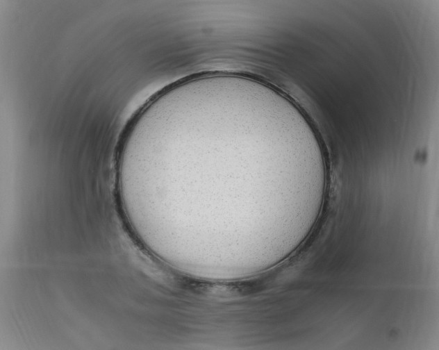 X0000110730787200907022109