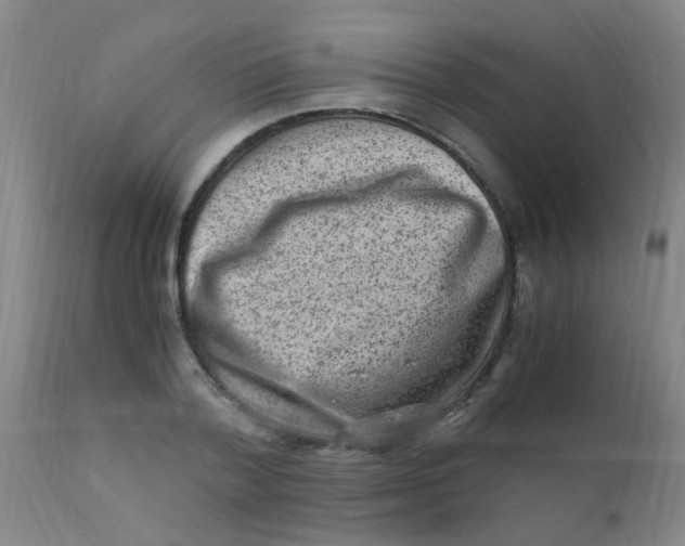 X0000110730788200907022109