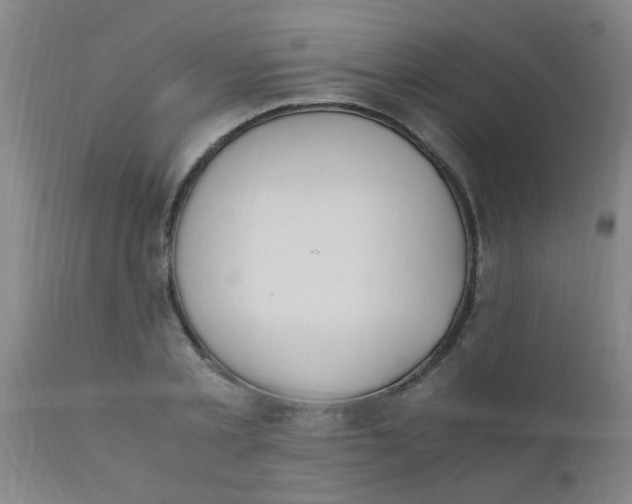 X0000110730789200907022109