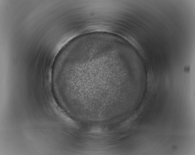 X0000110730790200907022109