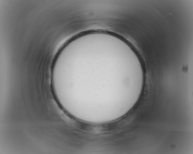 X0000110730791200907022109