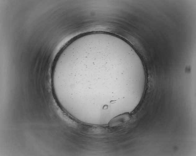 X0000110730792200907022109