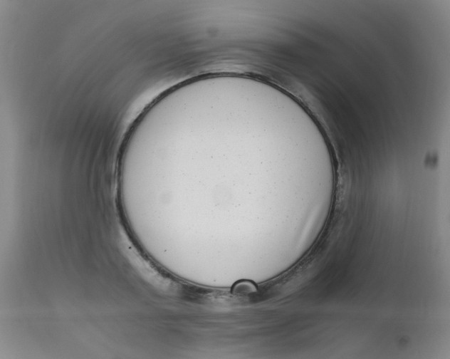 X0000110730795200907022109