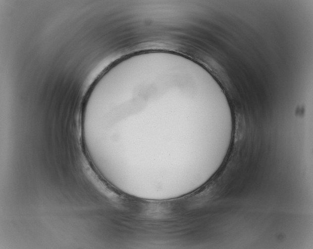 X0000110730796200907022109