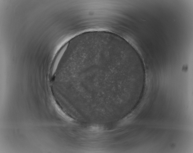 X0000110730797200907022109