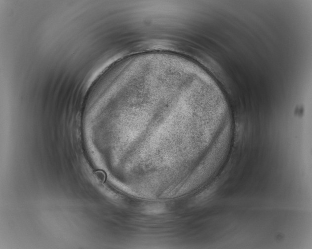 X0000110730798200907022109