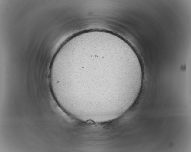 X0000110730799200907022109