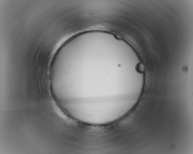 X0000110730800200907022109