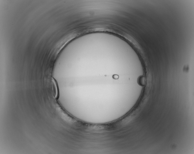 X0000110730801200907022109